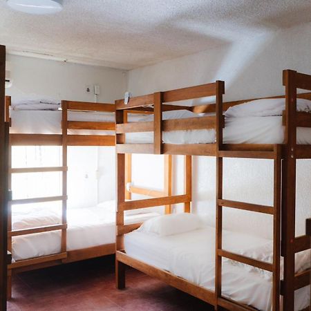 Desert Heart Hostel San José del Cabo エクステリア 写真