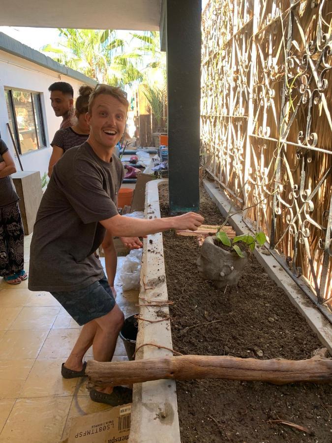 Desert Heart Hostel San José del Cabo エクステリア 写真