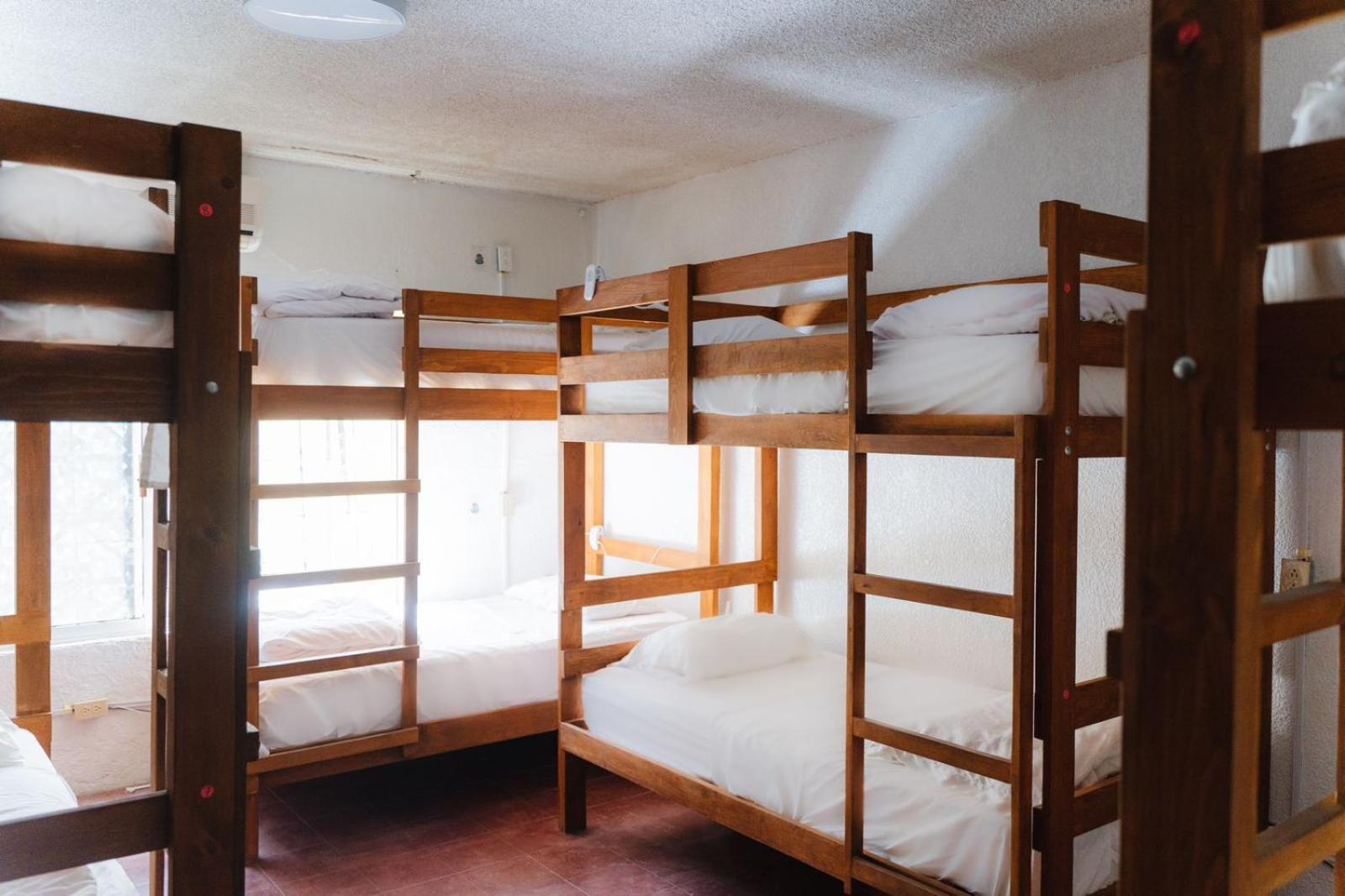 Desert Heart Hostel San José del Cabo エクステリア 写真