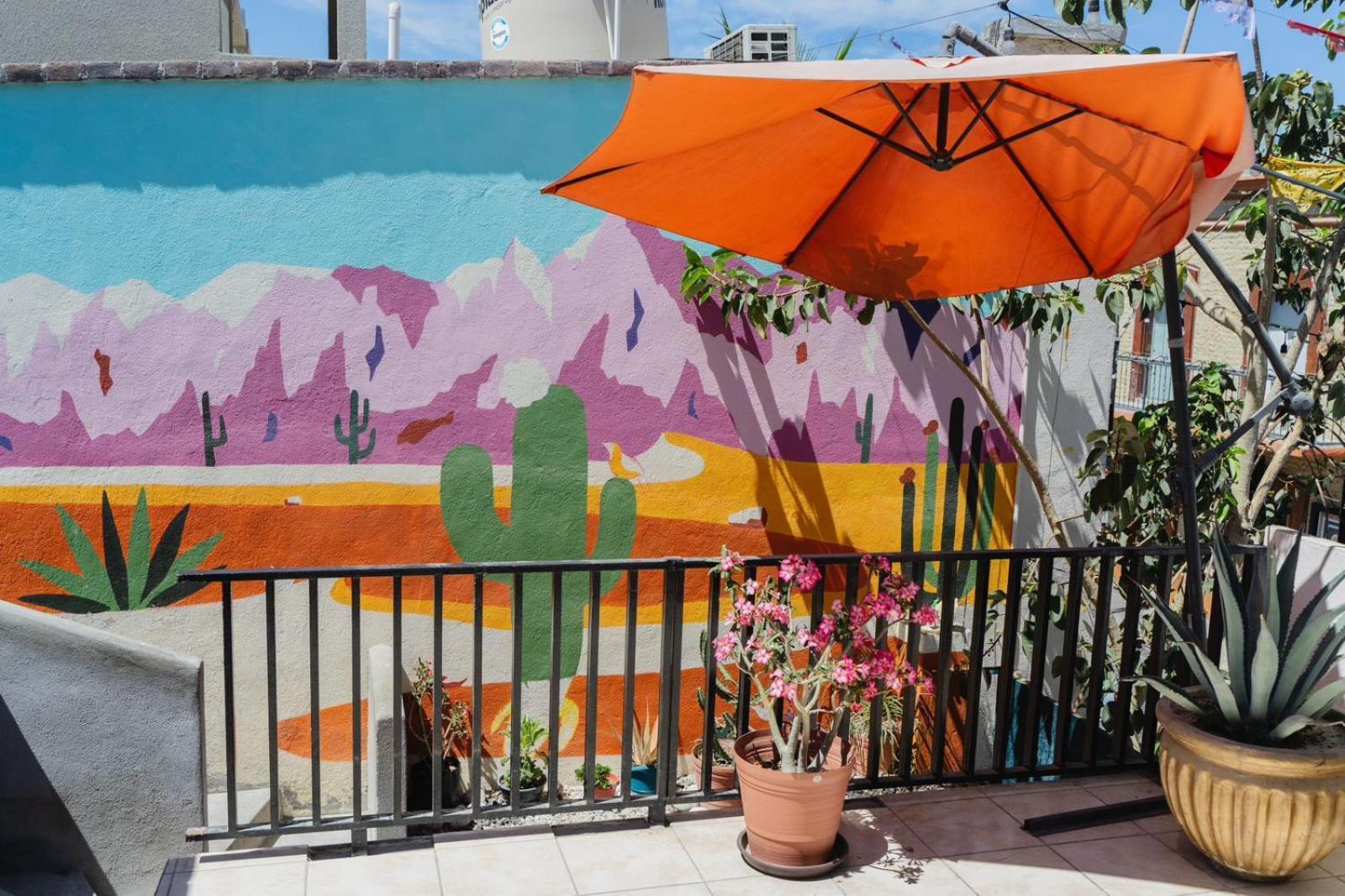 Desert Heart Hostel San José del Cabo エクステリア 写真
